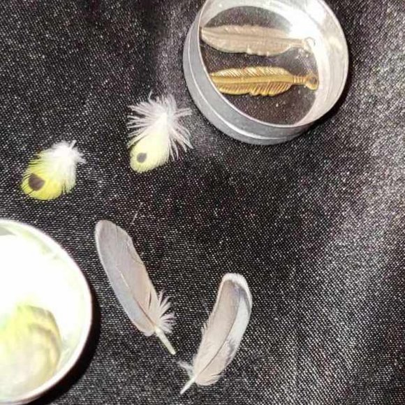 Adorable Miniature Lot Haul Bundle! - Picture 5 of 7